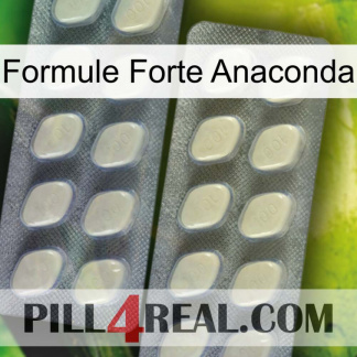 Anaconda Strong Formula 07